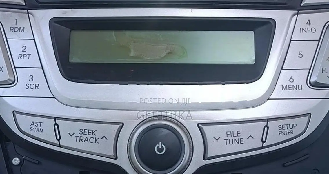 Eon Car Stereo System