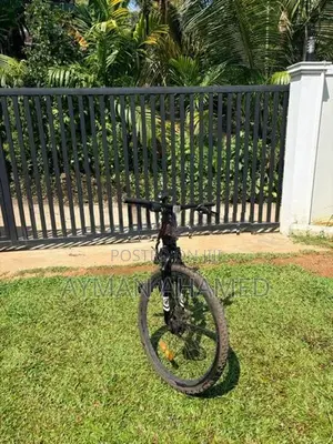 Mountain Bicycle