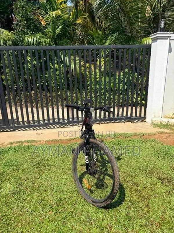 Mountain Bicycle