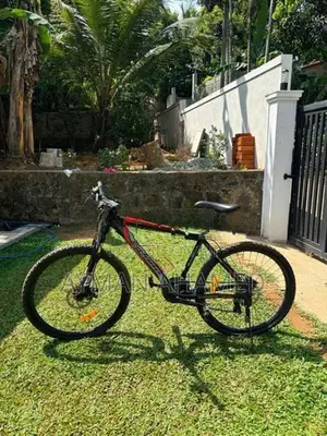 Mountain Bicycle