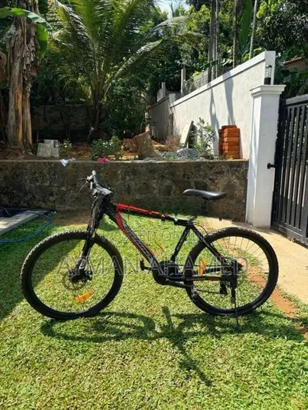 Mountain Bicycle