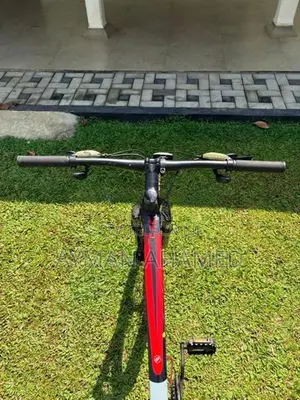 Mountain Bicycle