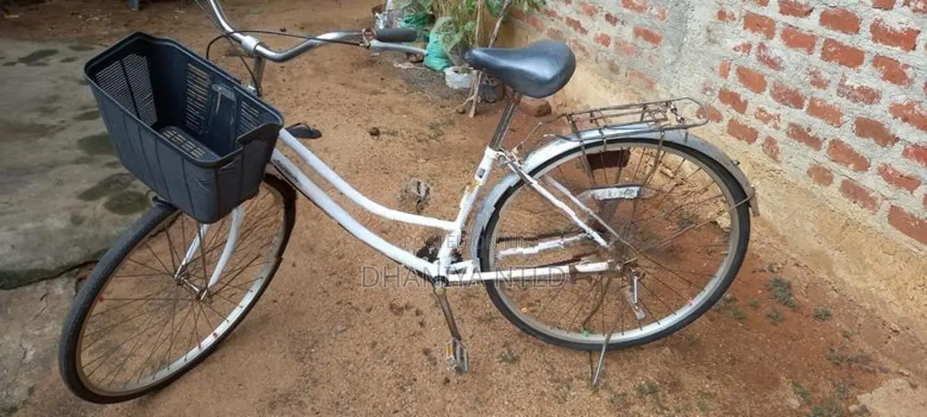 Bicycle