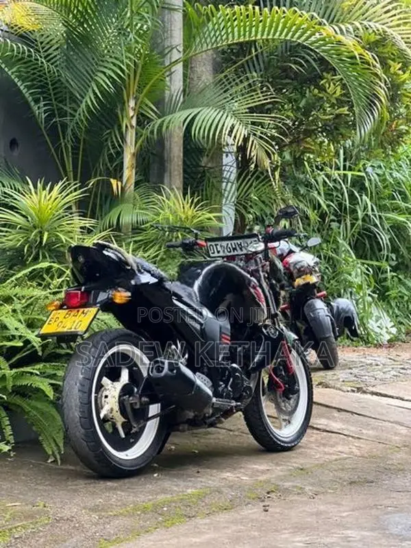 Yamaha FZ S 2013