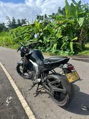 Yamaha FZs V2 2017