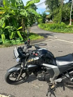 Yamaha FZs V2 2017
