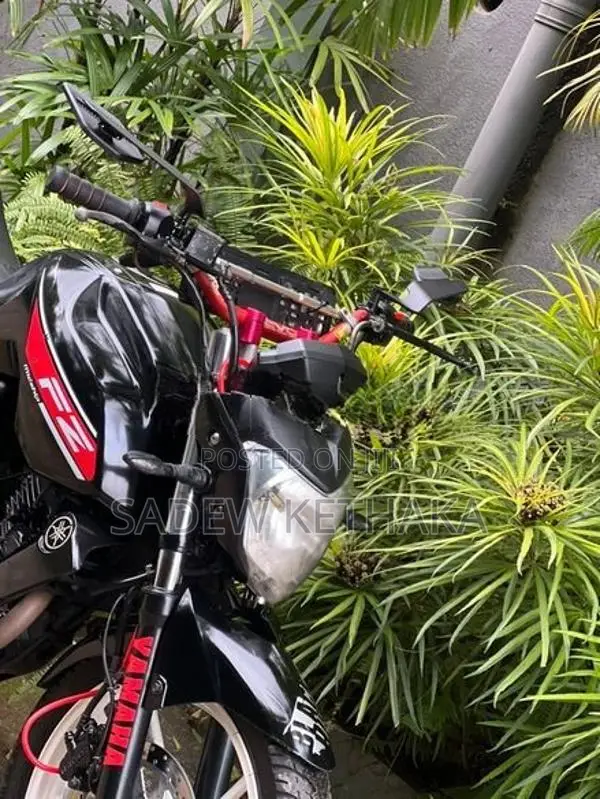 Yamaha FZ S 2013