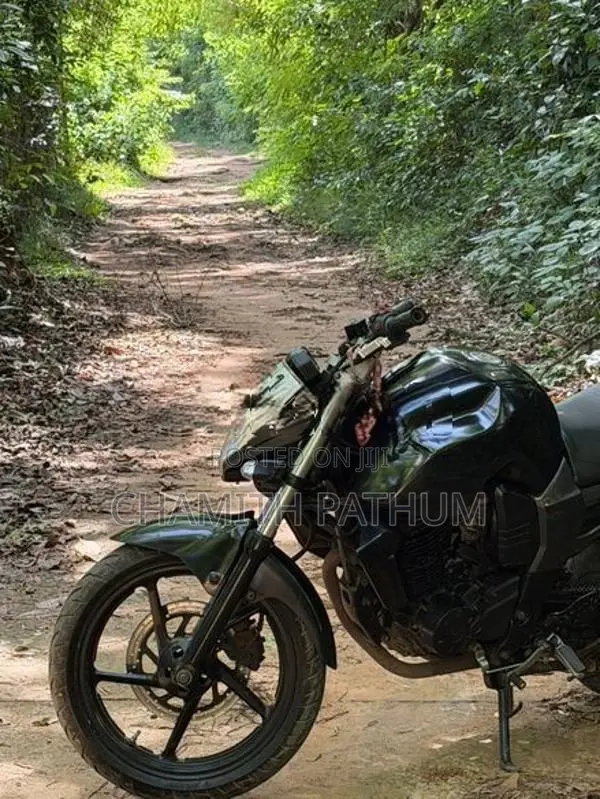 Yamaha FZ v1 2011
