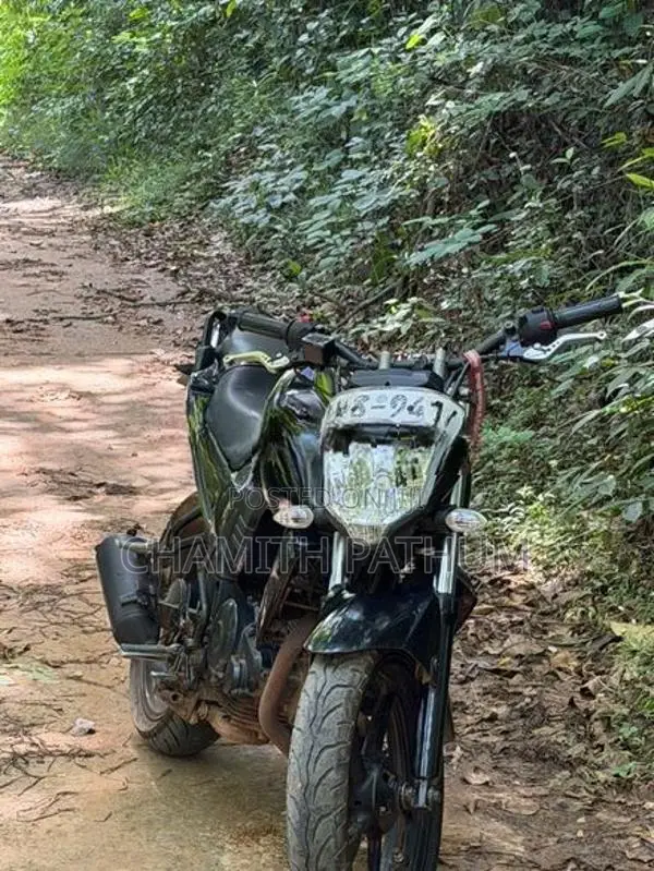 Yamaha FZ v1 2011