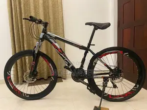 SAFT Mountain Bicycle 3x7 Gear