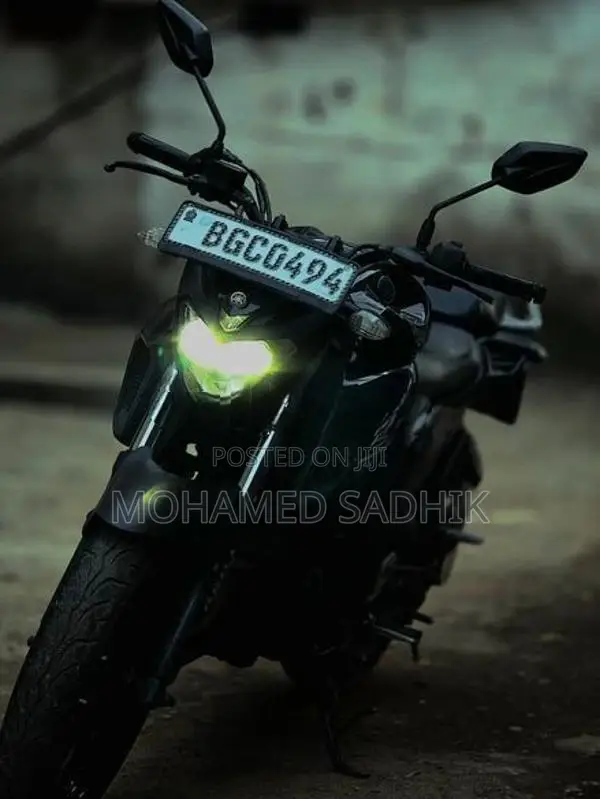 Yamaha FZ 25 2017