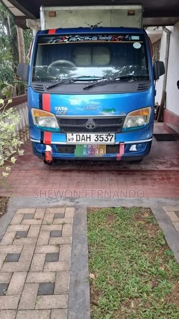 Tata Dimo Batta 2019