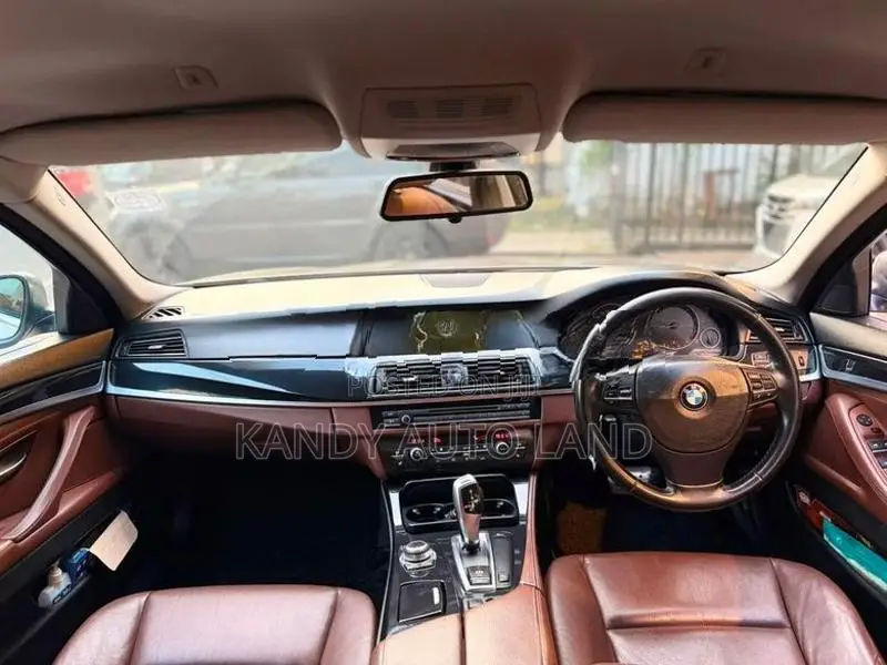 BMW 523i Luxury Line 2010