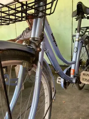 Bicycle ( Argent)