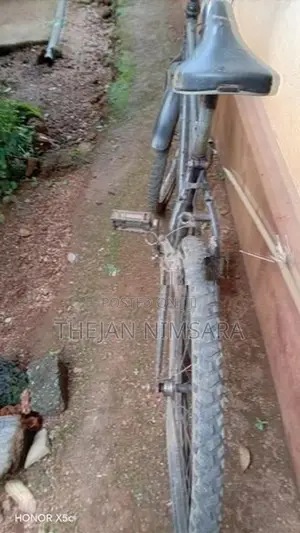 Dirala Kedila Nehe