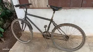 Dirala Kedila Nehe