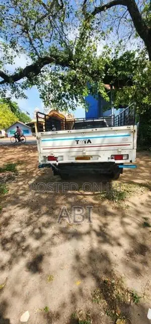 Tata 207 White 2005