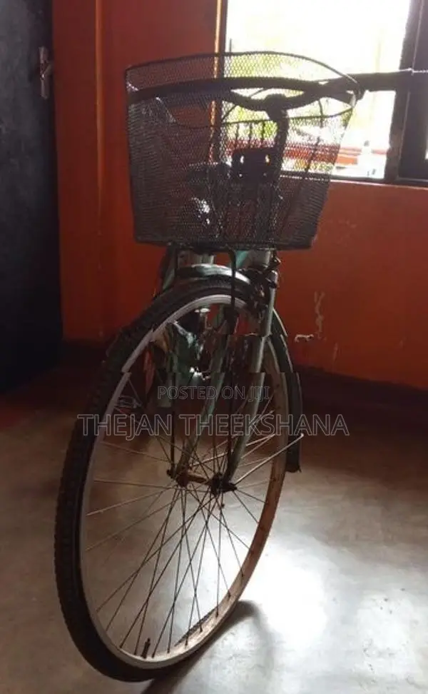 Ladies City Bicycle