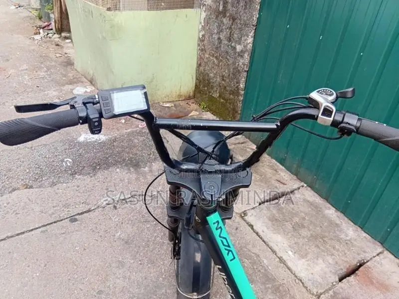 Lumala E Bicycle