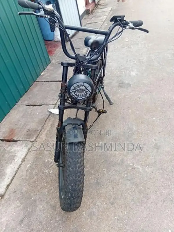 Lumala E Bicycle