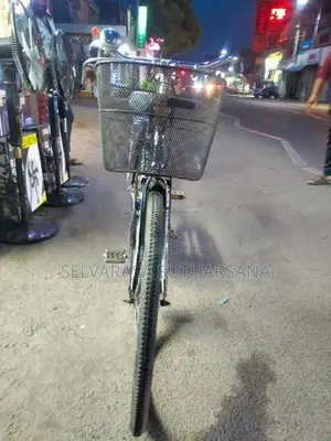 Raizer Ladies Bicycle