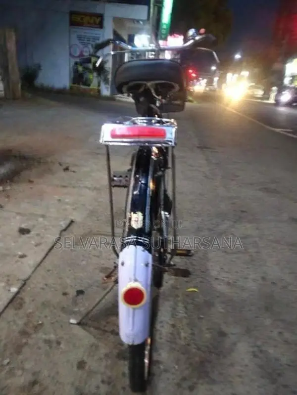 Raizer Ladies Bicycle
