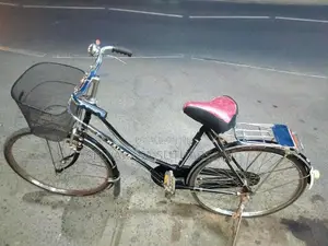 Raizer Ladies Bicycle