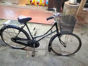 Raizer Ladies Bicycle