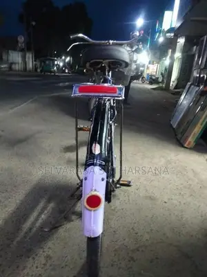 Raizer Ladies Bicycle