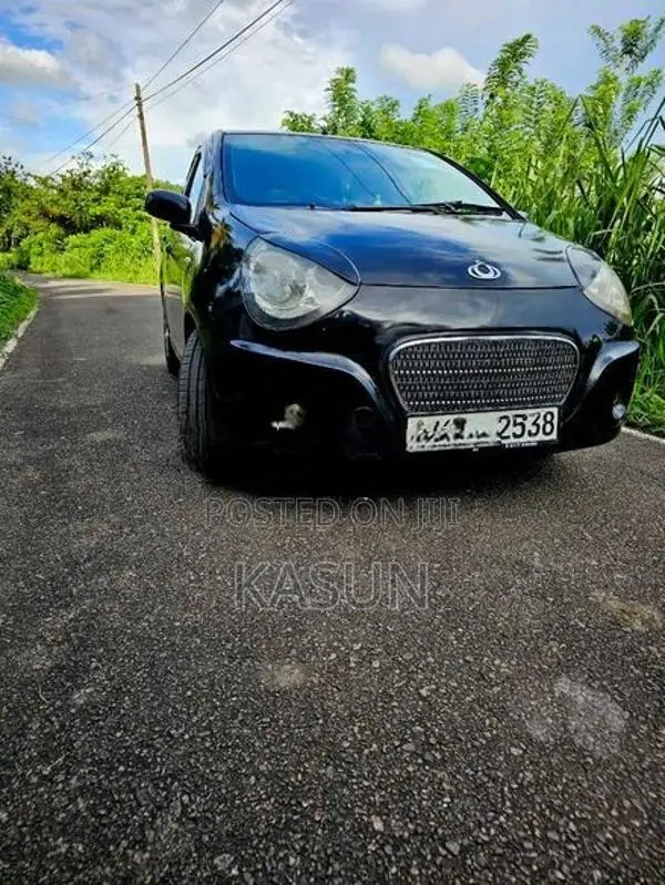 Micro Panda 2011