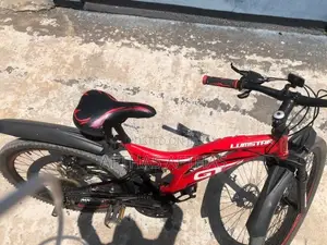 Lumstar GT Mountain Bicycle