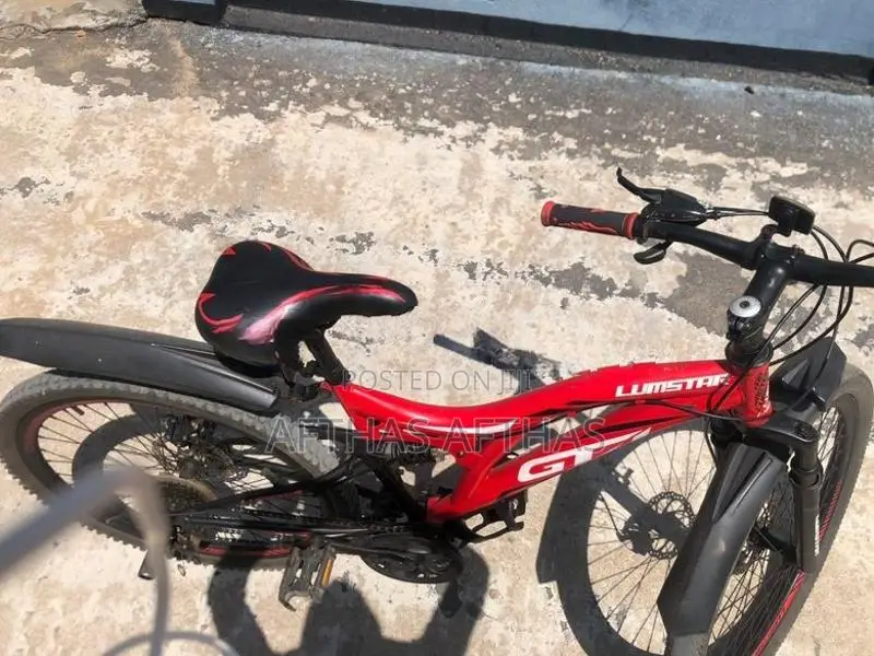 Lumstar GT Mountain Bicycle