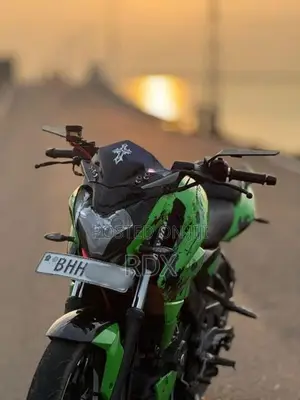 Bajaj Pulsar NS200 2019