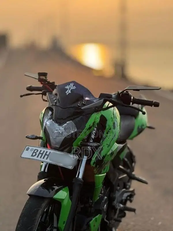 Bajaj Pulsar NS200 2019