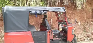Mahindra Alfa 2013