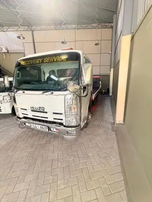 Isuzu Elf Car carrier 2011