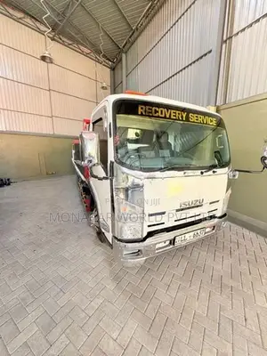 Isuzu Elf Car carrier 2011
