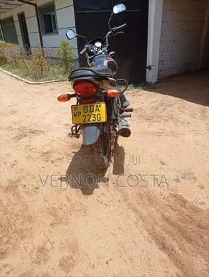 Bajaj Platina 100 2015