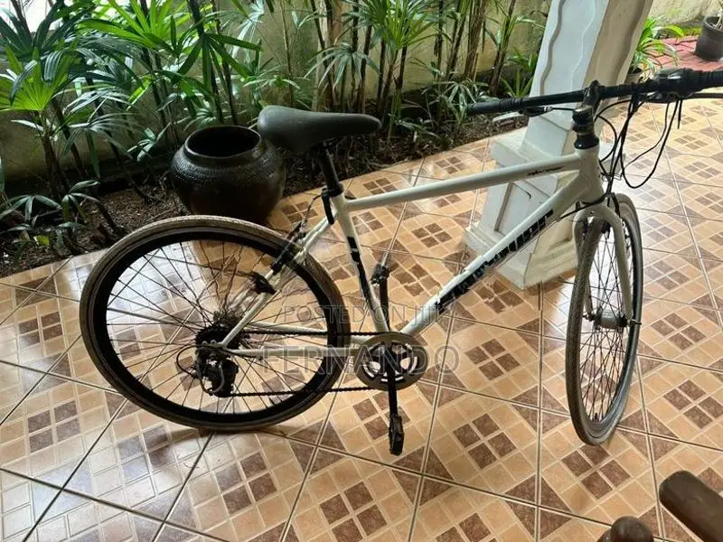 Jamis Bicycle