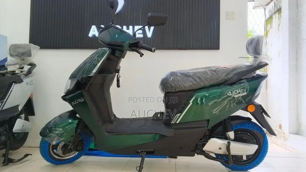 Auchev Pisces 2026