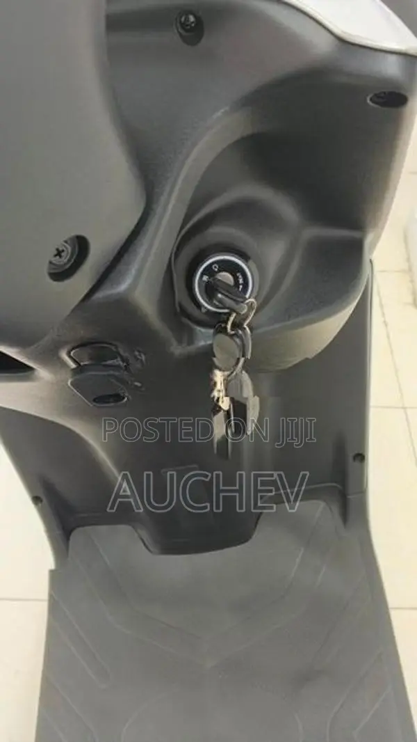 Auchev Pisces 2026