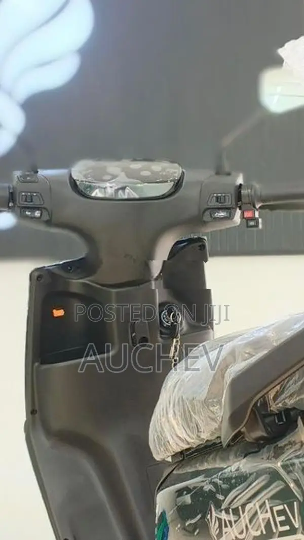 Auchev Pisces 2026
