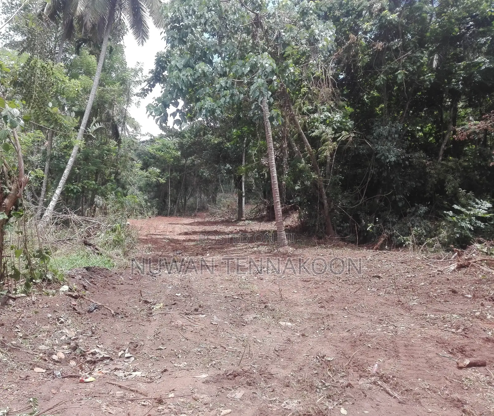 Land for Sale Mawanella,Weligalle