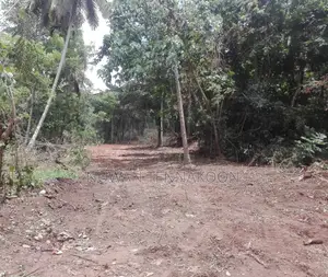 Land for Sale Mawanella,Weligalle