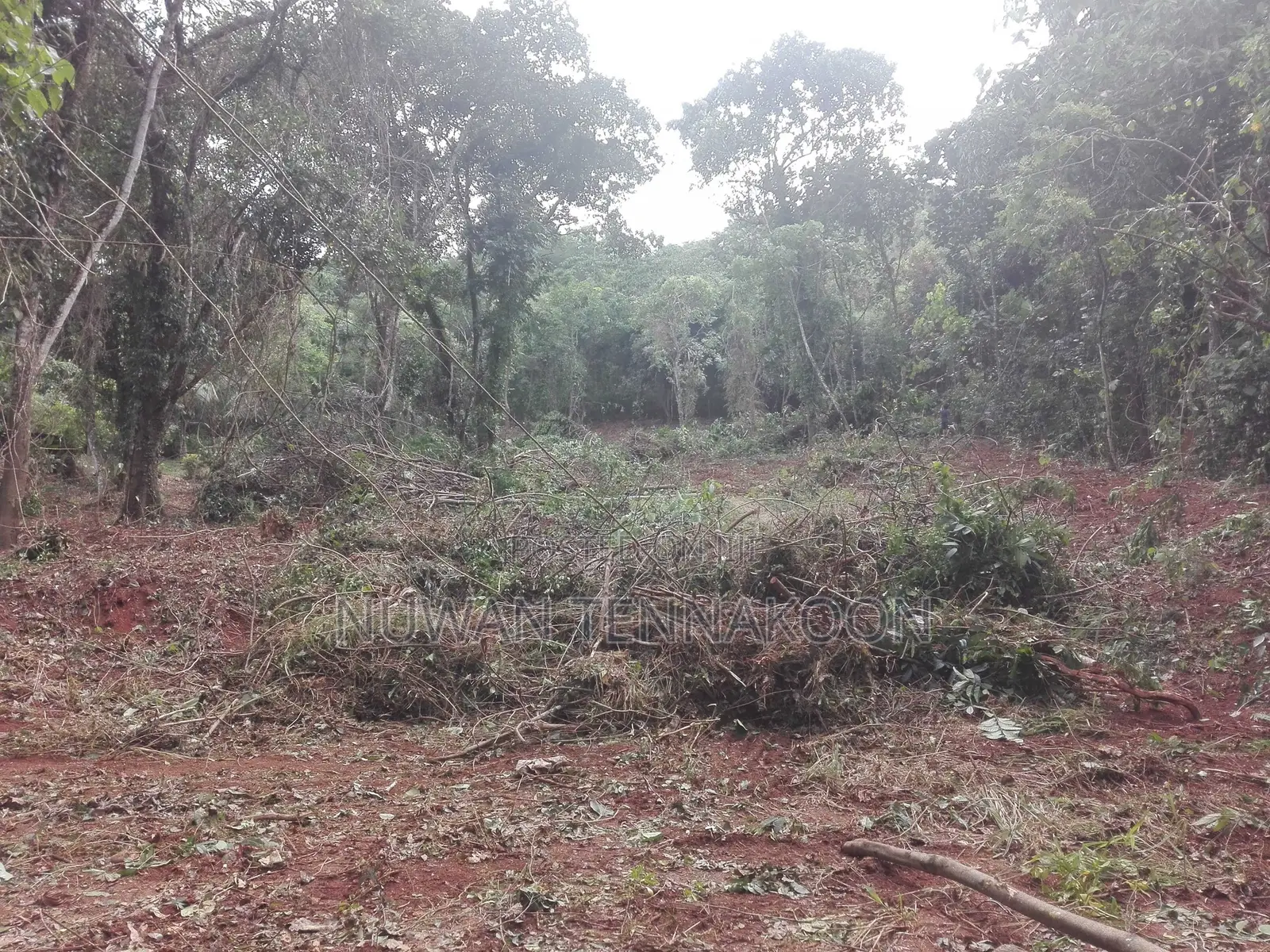 Land for Sale Mawanella,Weligalle