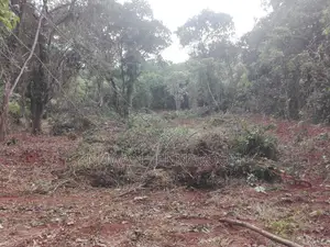 Land for Sale Mawanella,Weligalle