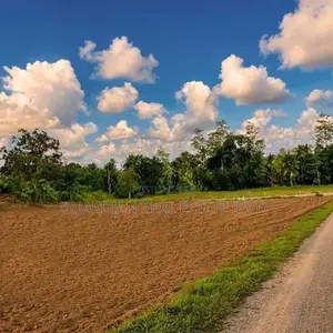 Premium Land Plots for Sale in Nawagamuwa