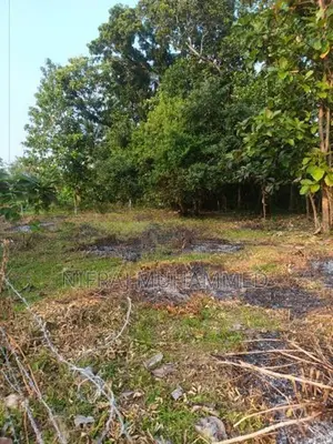 Land for Sale Ibbagamuwa