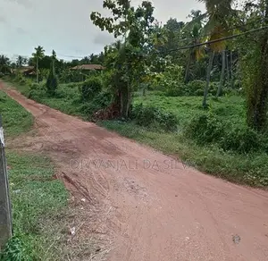 Land for Sale in Pannala