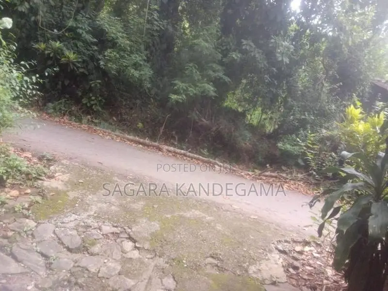 2 Lands for Sale Daulagala